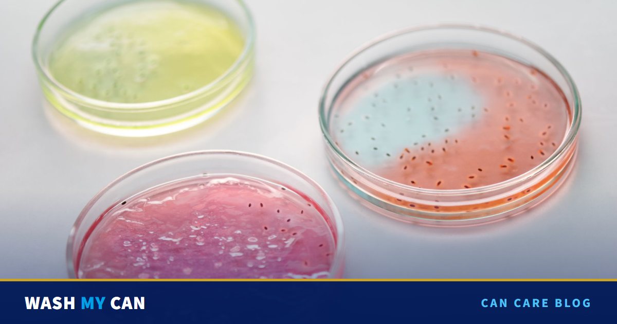 Three petri dishes with pink, orange, blue and yellow bacterial cultures on a white surface